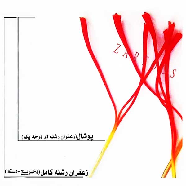زعفران نیم مثقالی پوشال طرح آذین - زرتوس